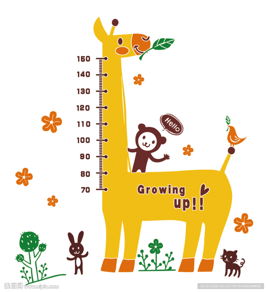 猴子长颈鹿测量身高