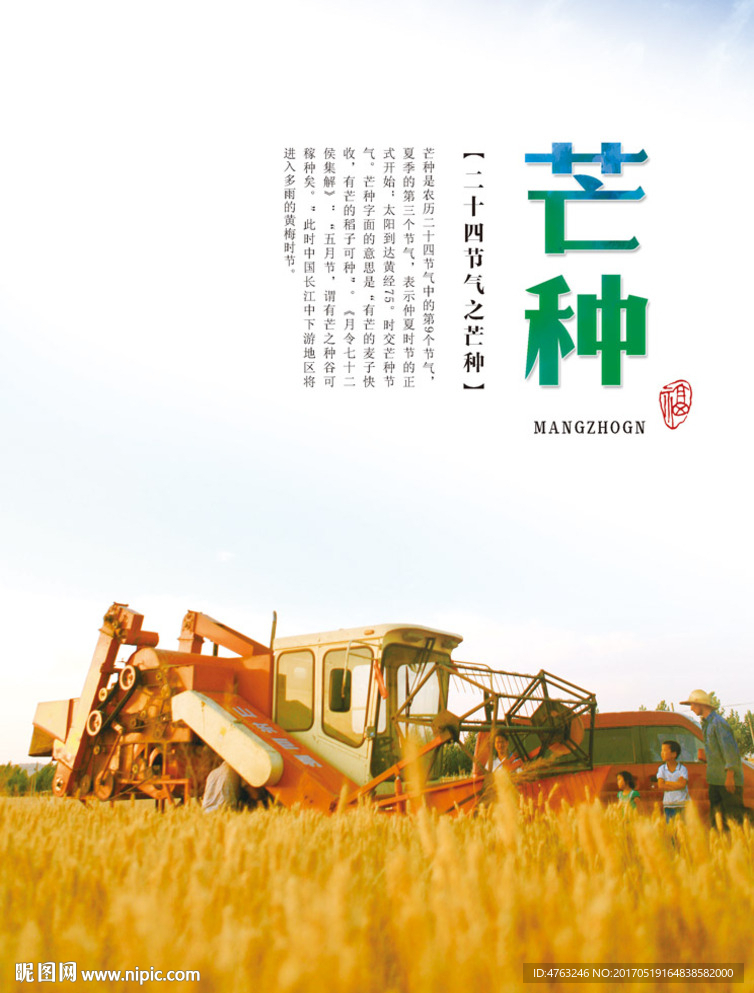 芒种二十四节气