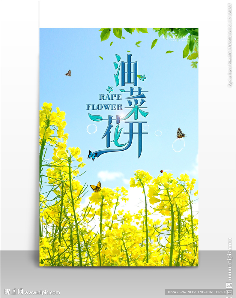油菜花小清新海报