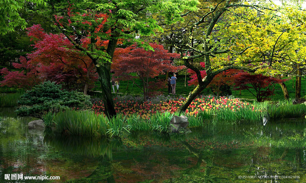 红枫水生植物河道景观图