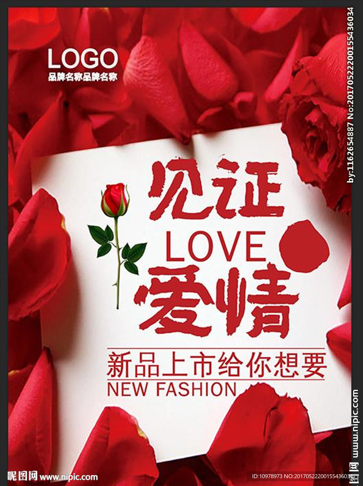 见证爱情 玫瑰花