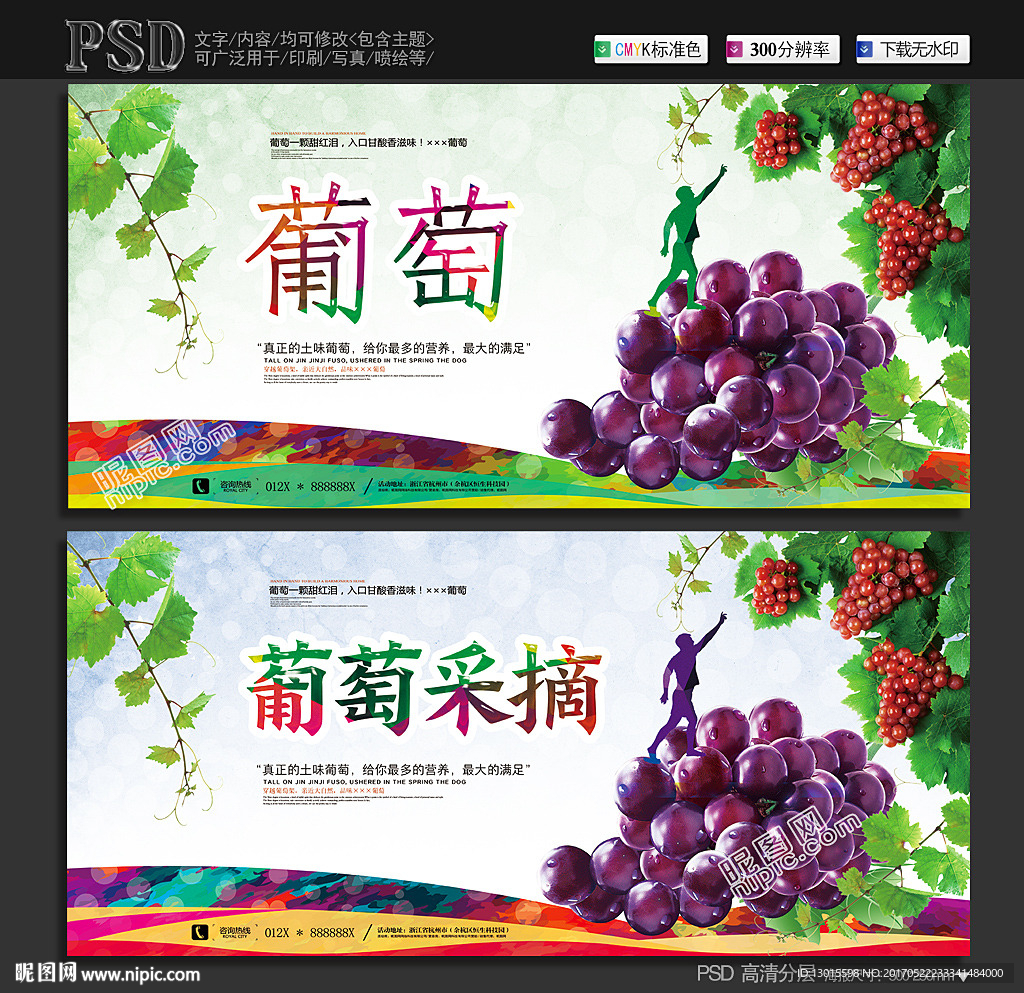葡萄