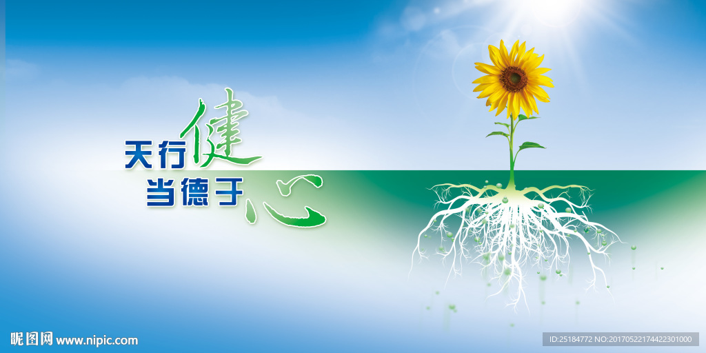 根基-向日葵