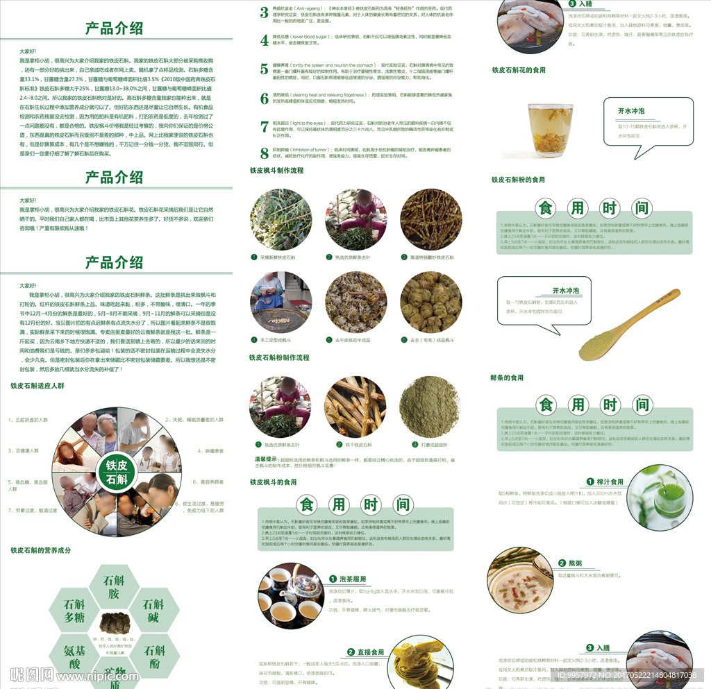 52详情铁皮石斛设计描述