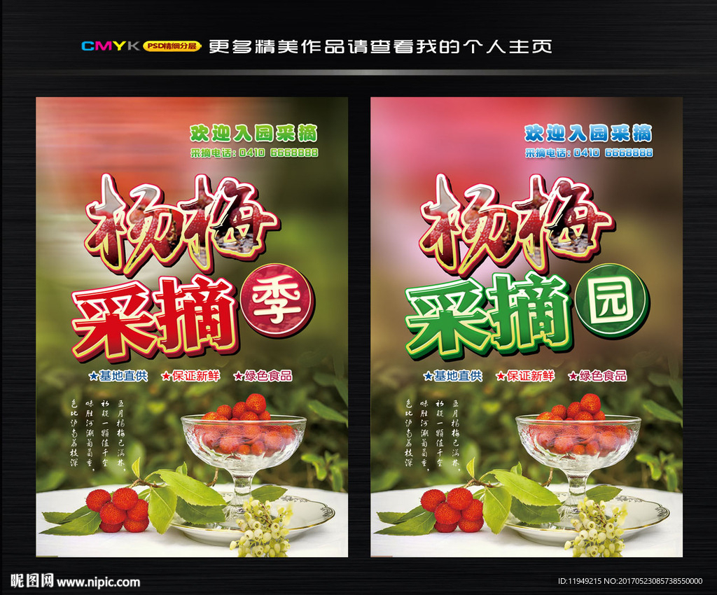 杨梅图片