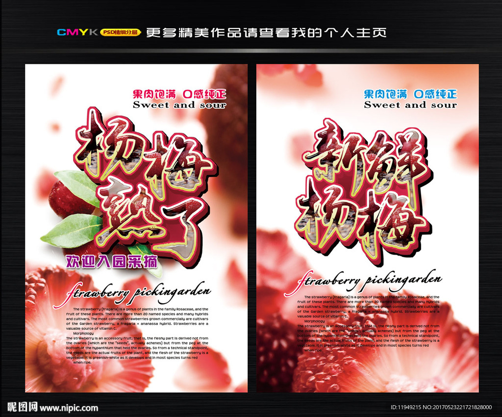 杨梅图片 杨梅广告图