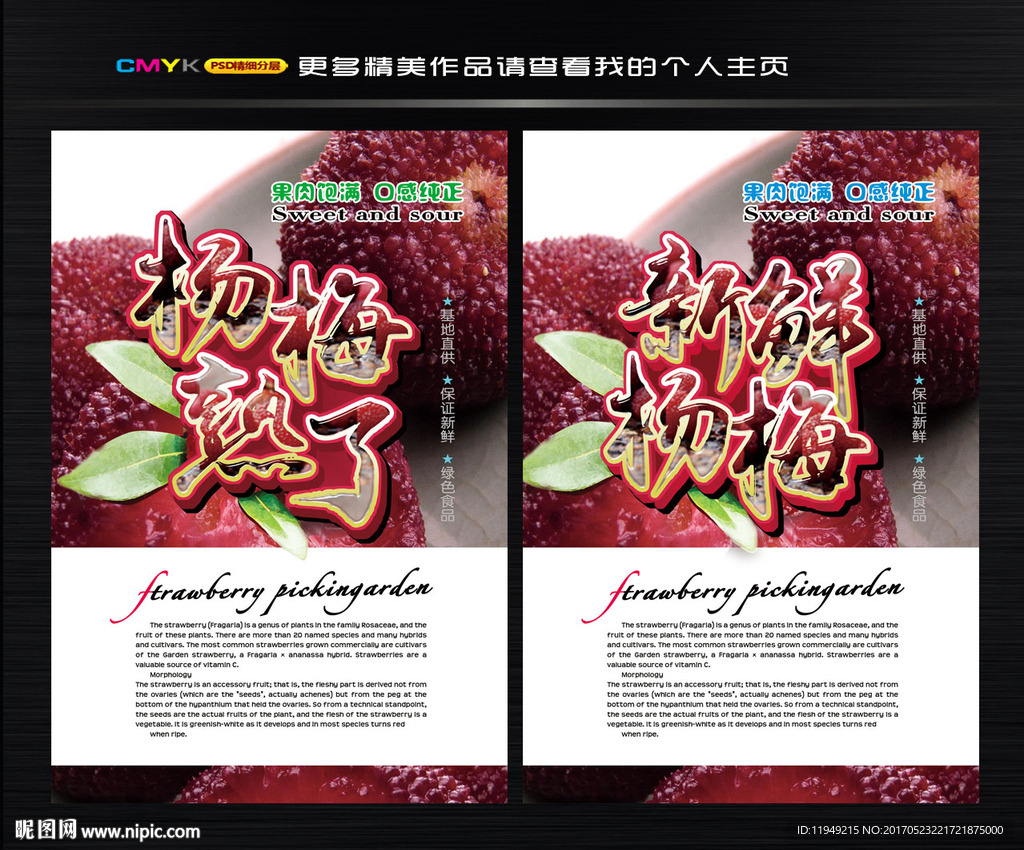 杨梅图片 杨梅文化节
