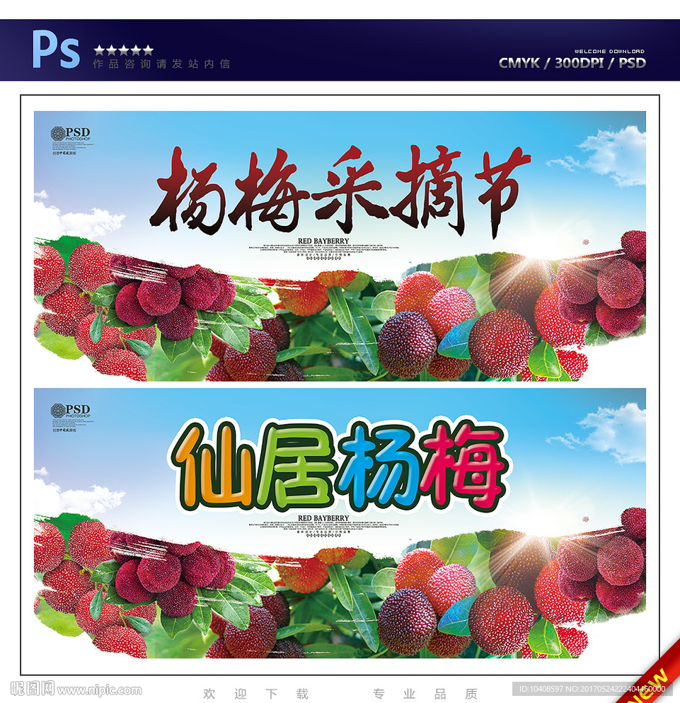 杨梅