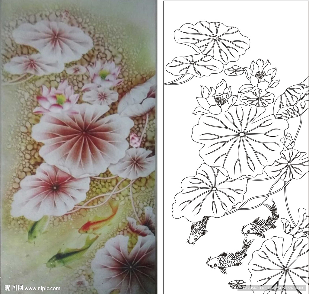 荷花鱼