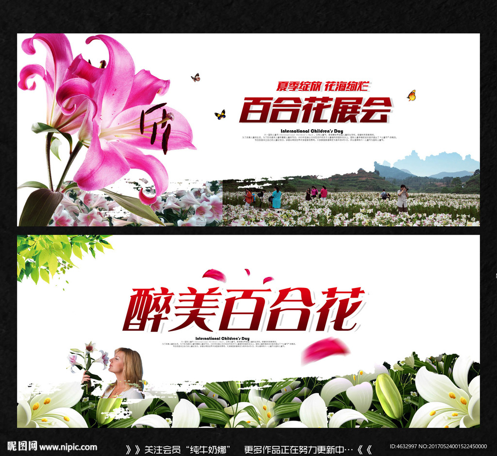 百合花