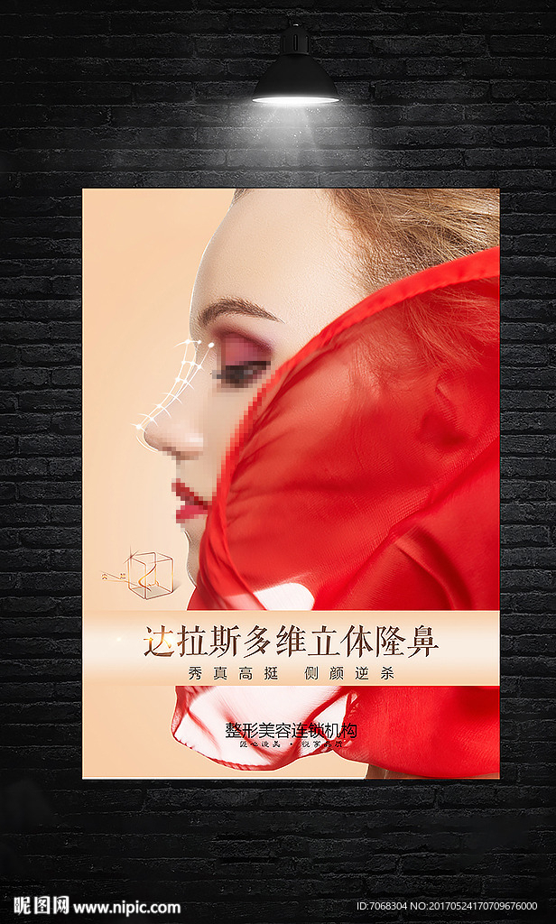 整形挂画系列 隆鼻