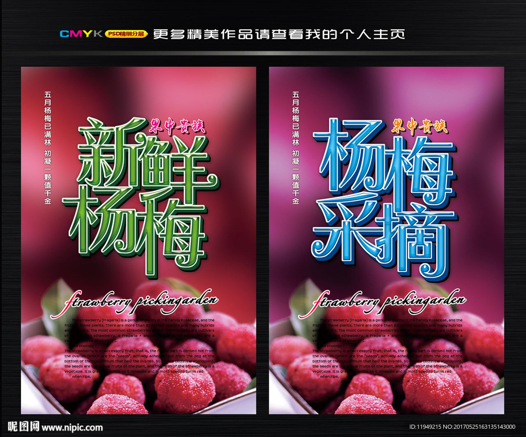 杨梅图片
