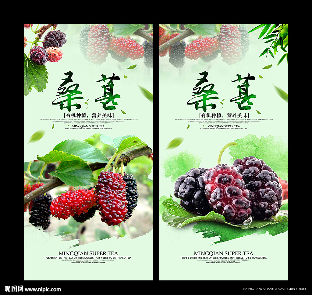 桑葚