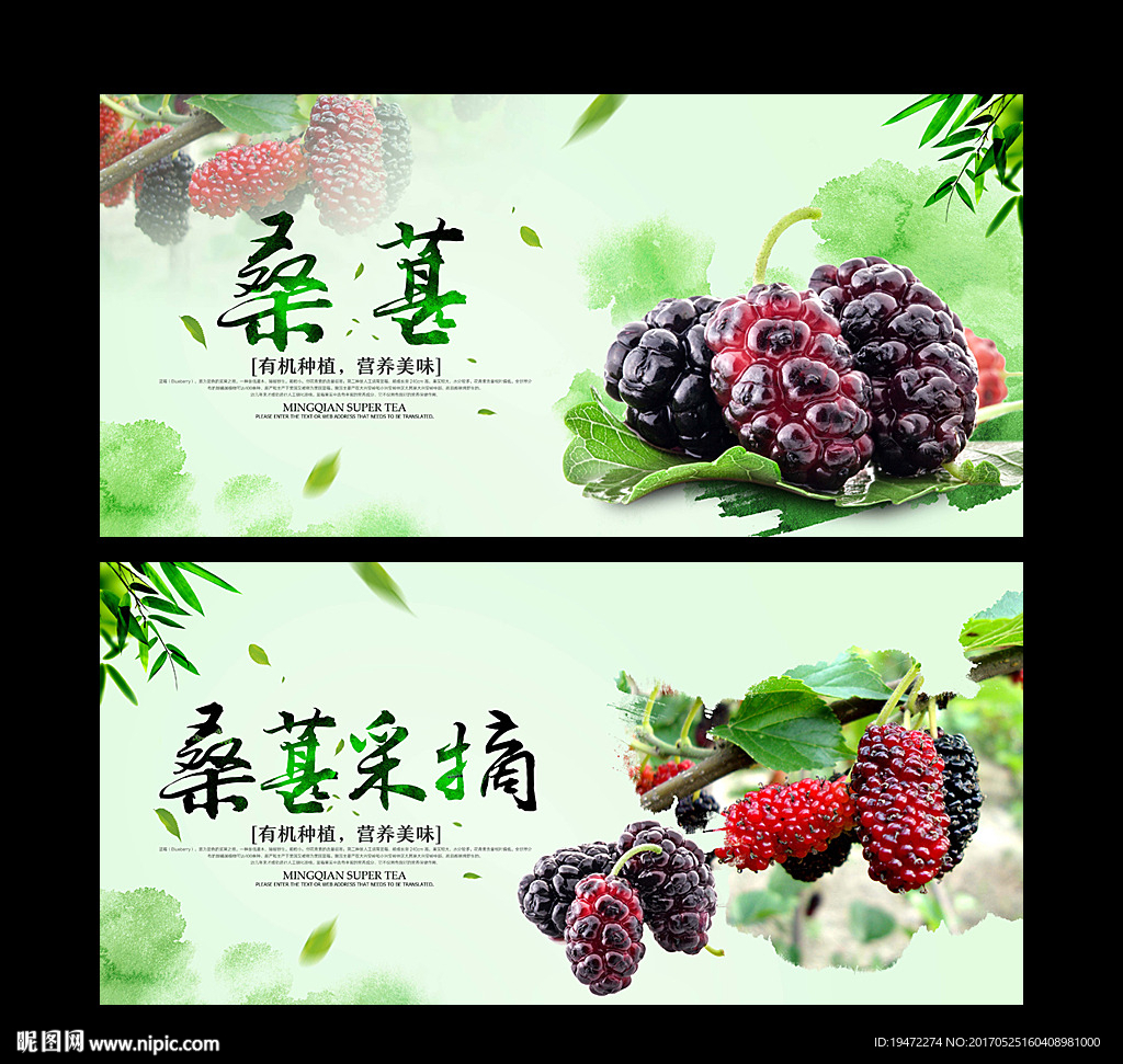 桑葚