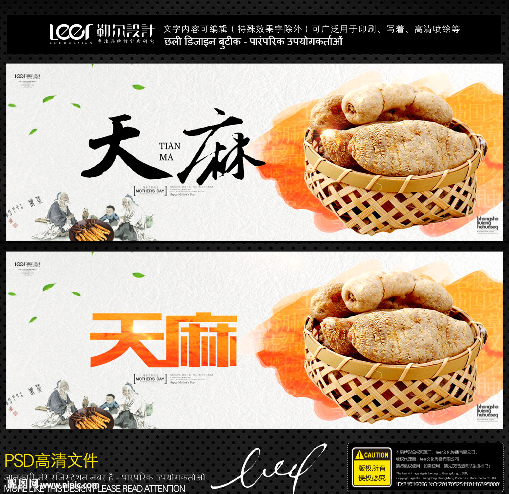 天麻