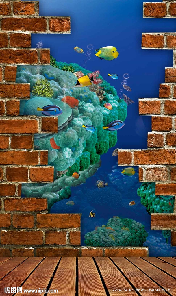 3d海豚玄关