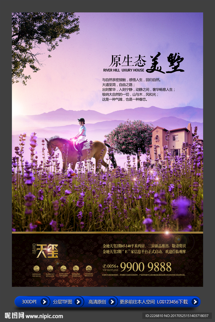 高端房地产广告