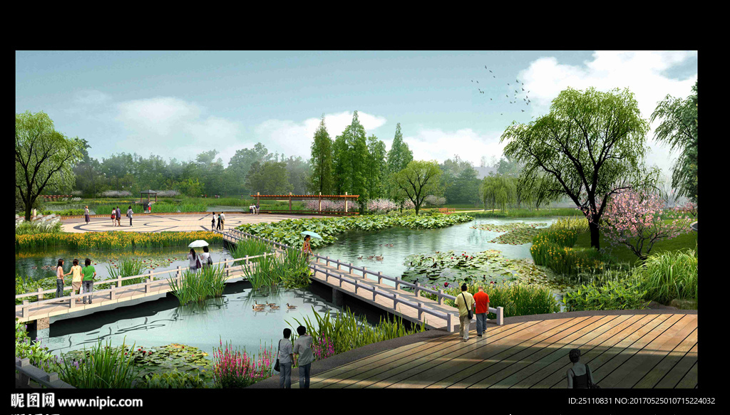 河道水生植物景观图