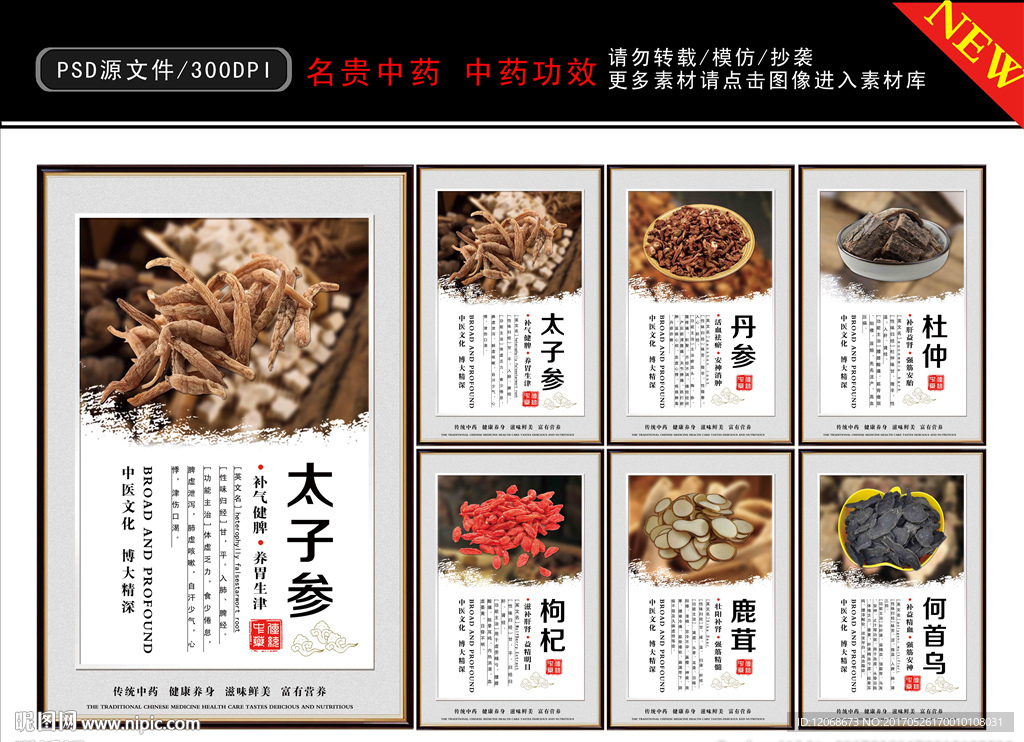 名贵中药 中药功效