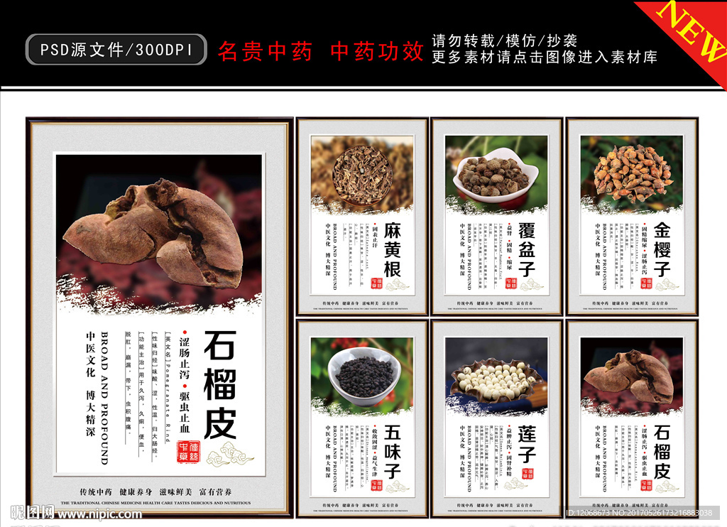 名贵中药 中药功效