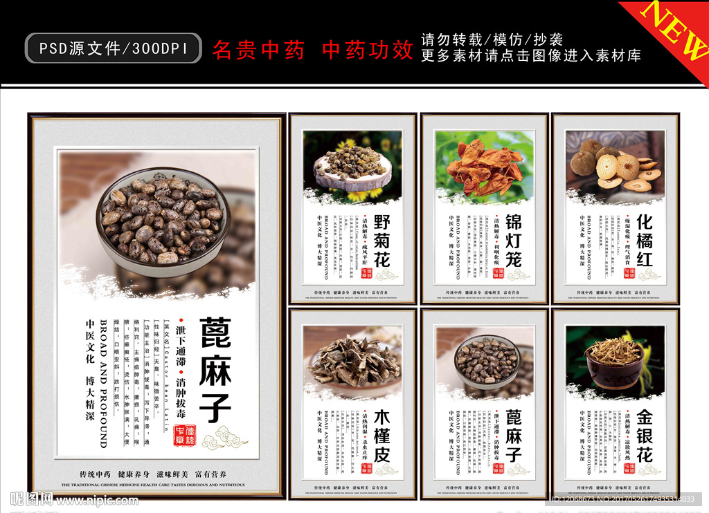 名贵中药 中药功效