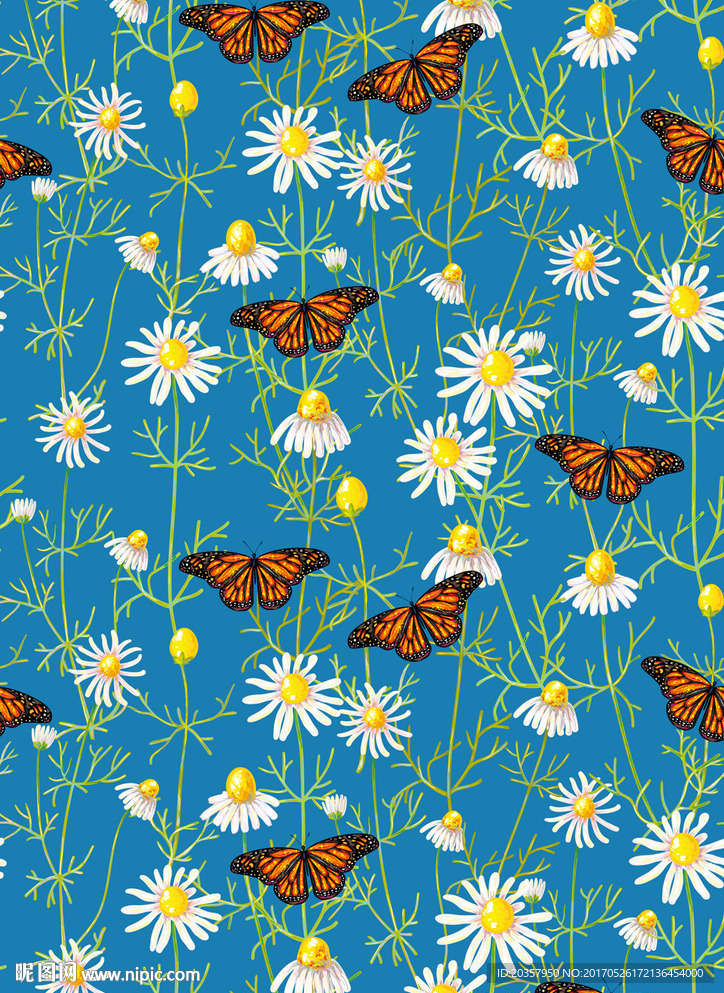 蝴蝶菊花图案花丛中的蝴蝶