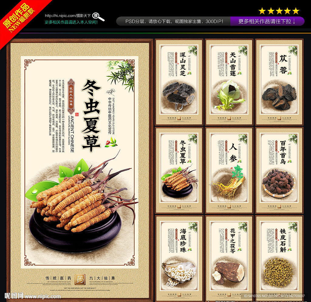 九大仙草