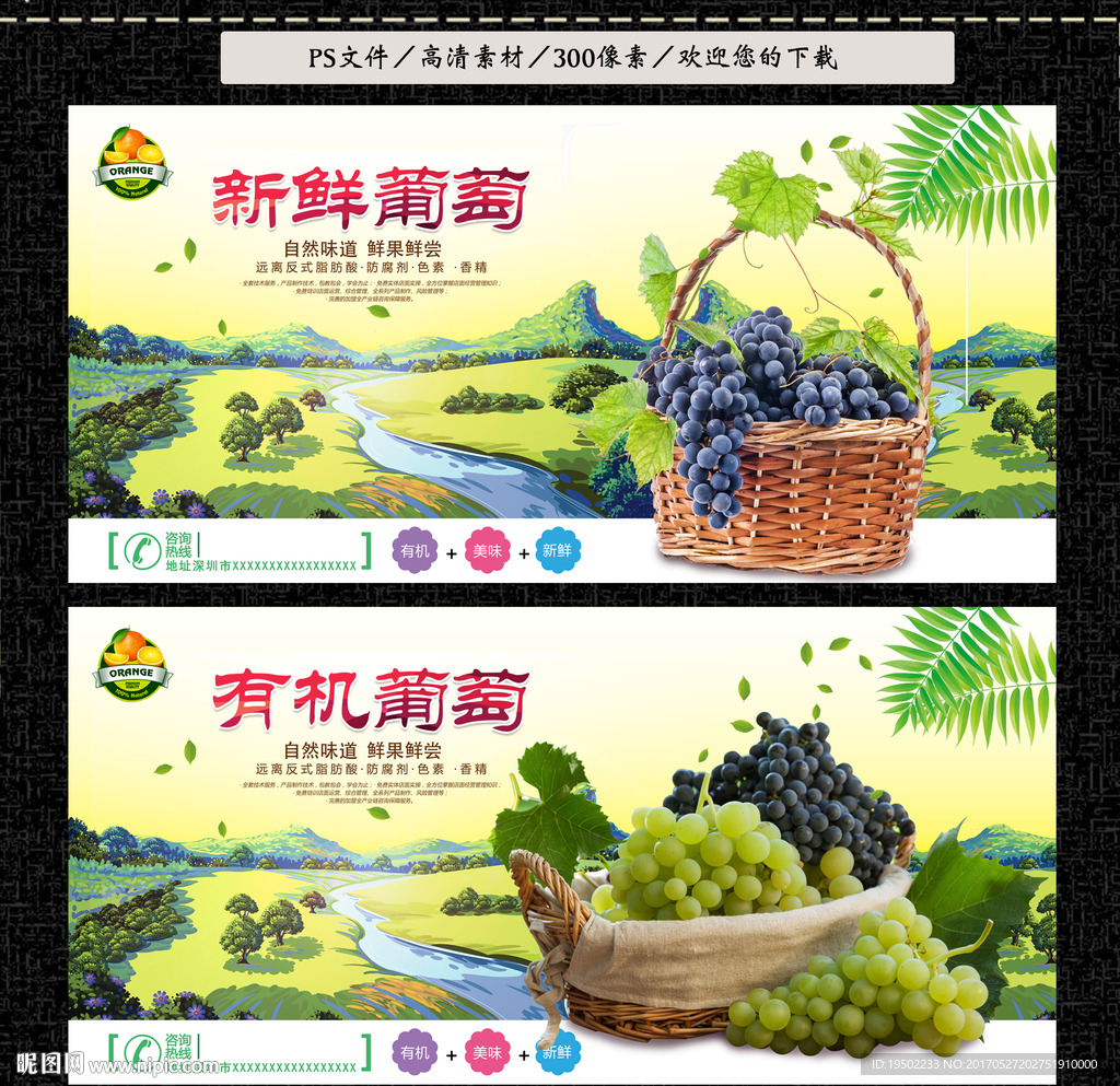 葡萄