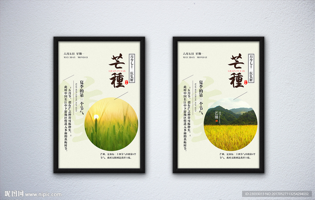 芒种时节海报
