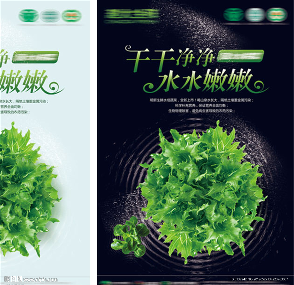 生鲜水培蔬菜海报