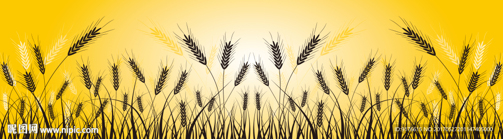 金色麦穗腰线