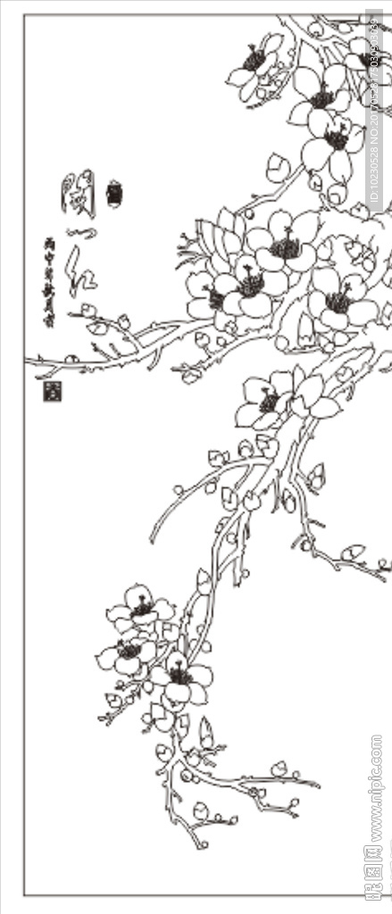 木棉花