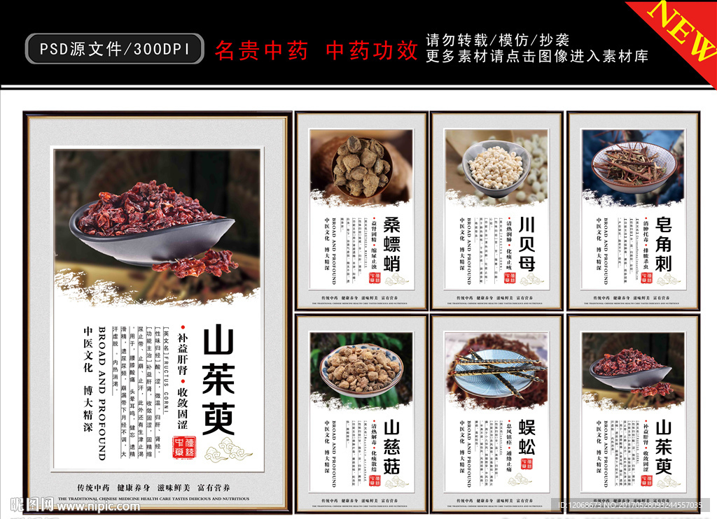 名贵药材 中药功效