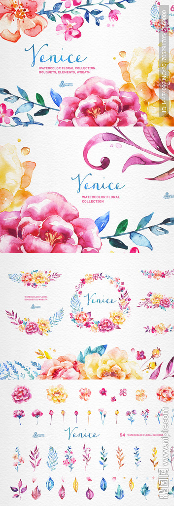 水彩手绘玫瑰花朵