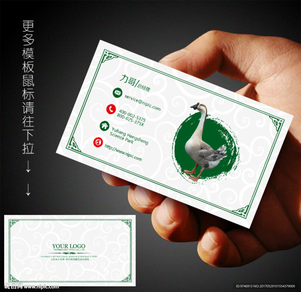 鹅名片