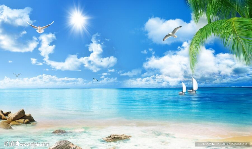 海滩椰树