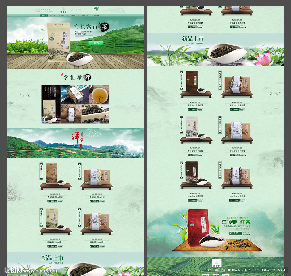 茶首页