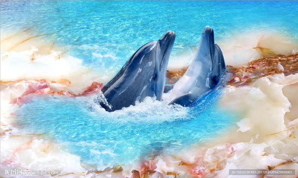 大理石海豚