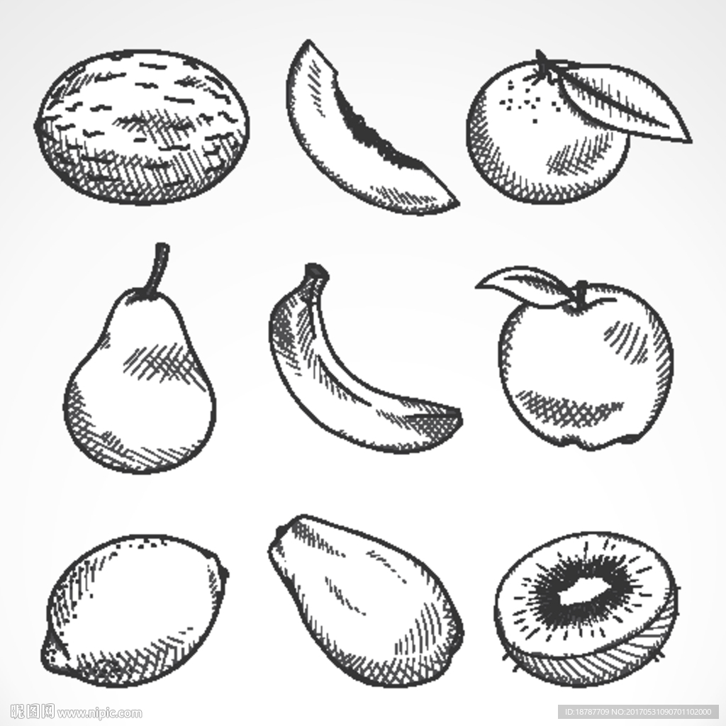 手绘素描水果夏天