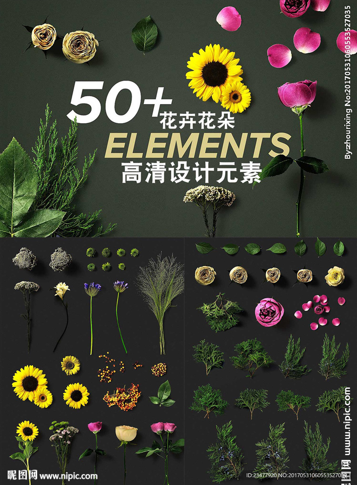 高清植物花朵花卉设计元素