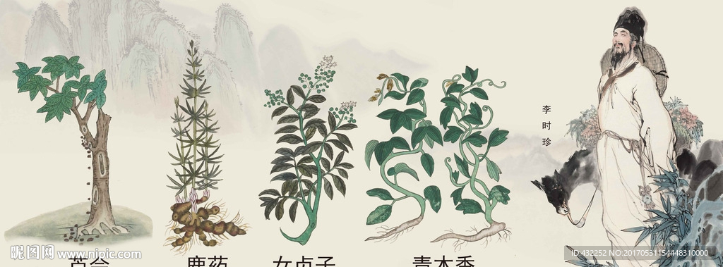 中药图谱