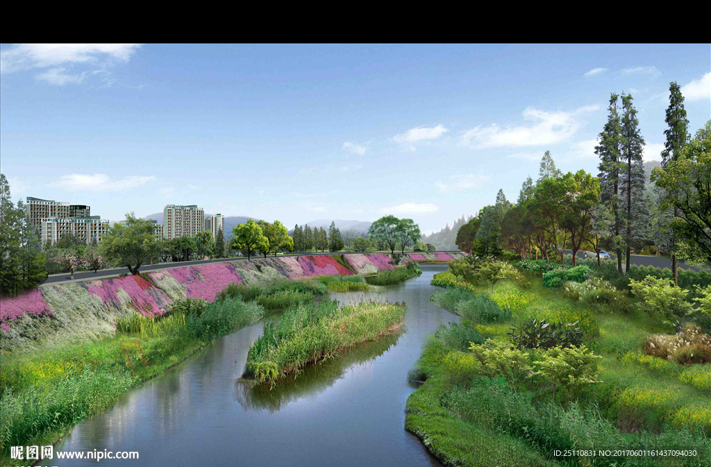 湿地护坡绿化景观设计图