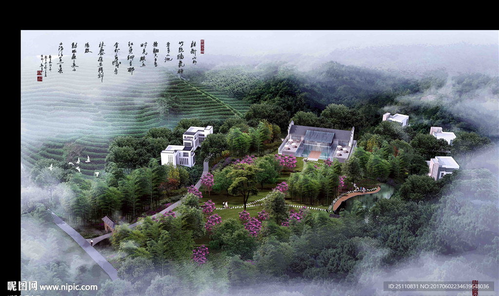 山体梯田茶树竹林景观设计图