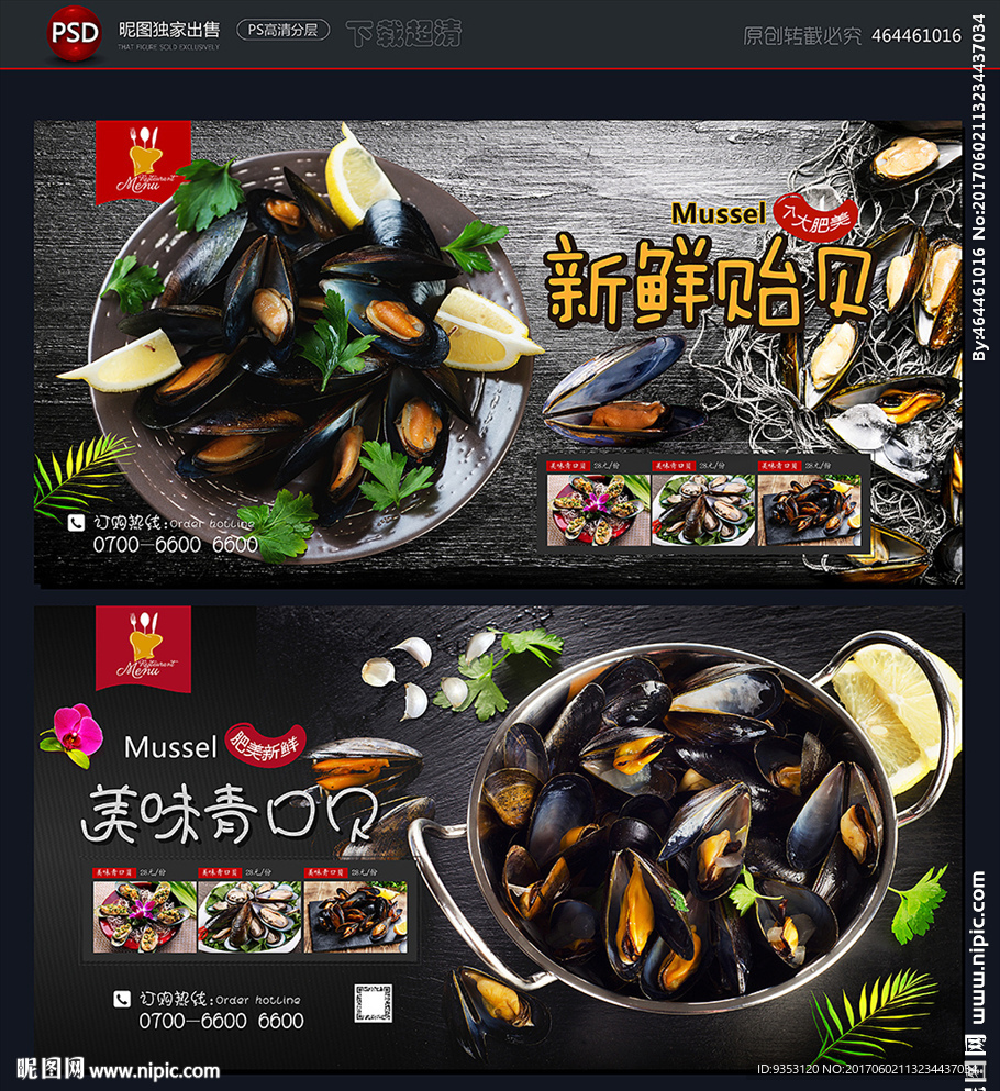 贻贝 青口