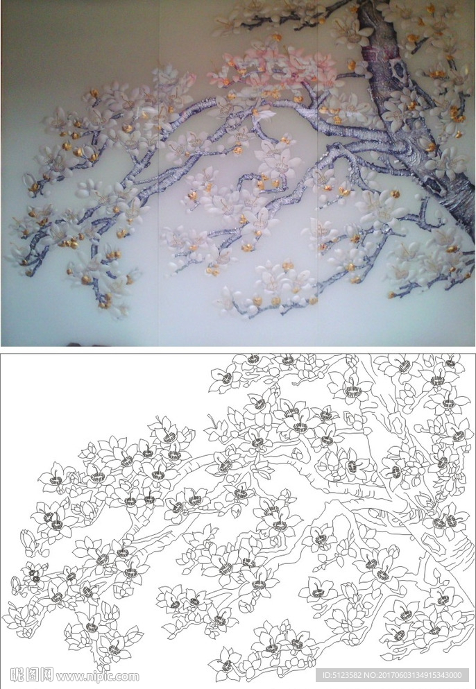 玉兰花