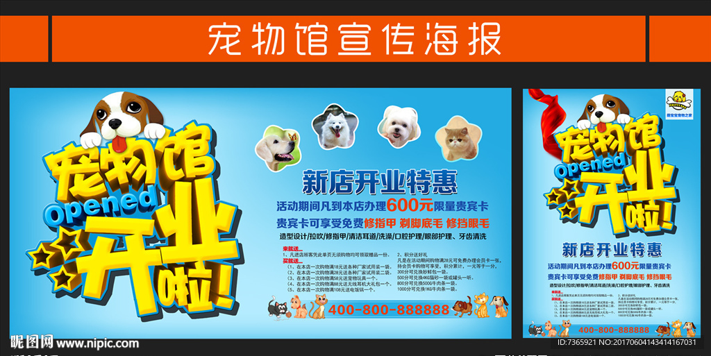 宠物馆开业