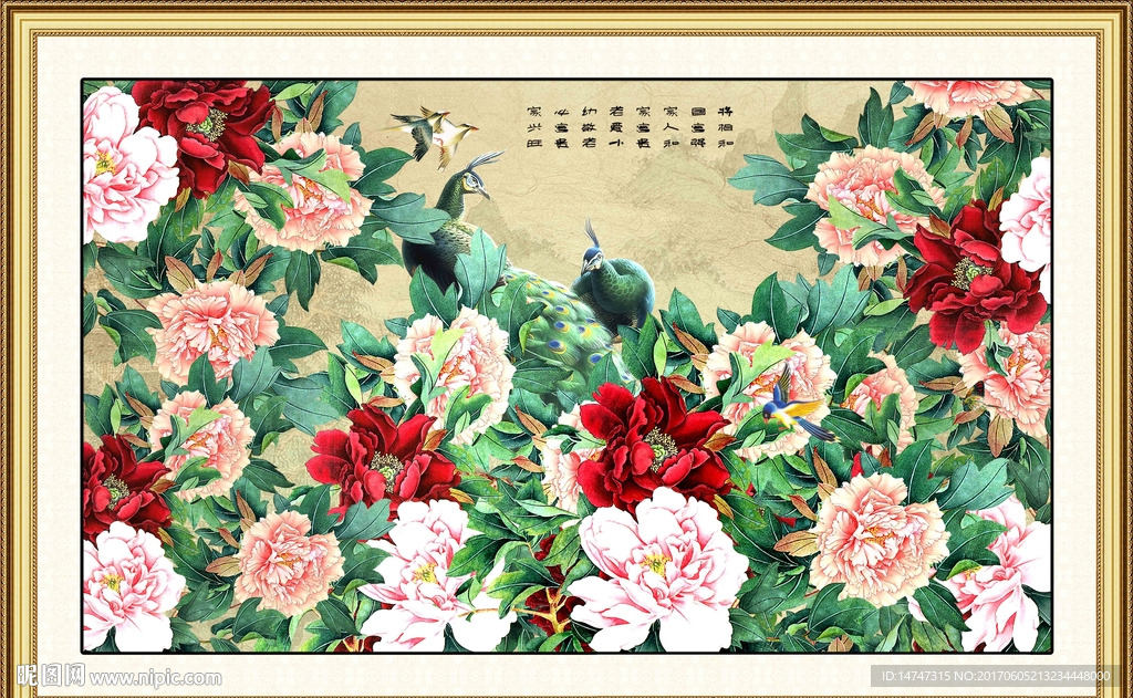 孔雀牡丹
