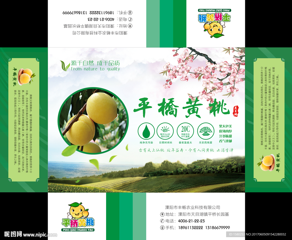 黄桃包装盒