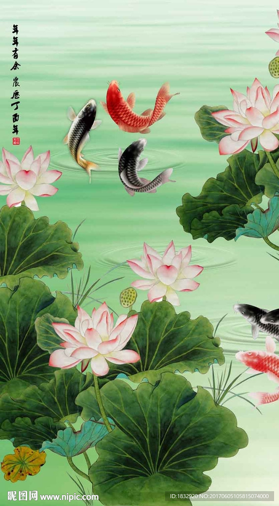 荷花图