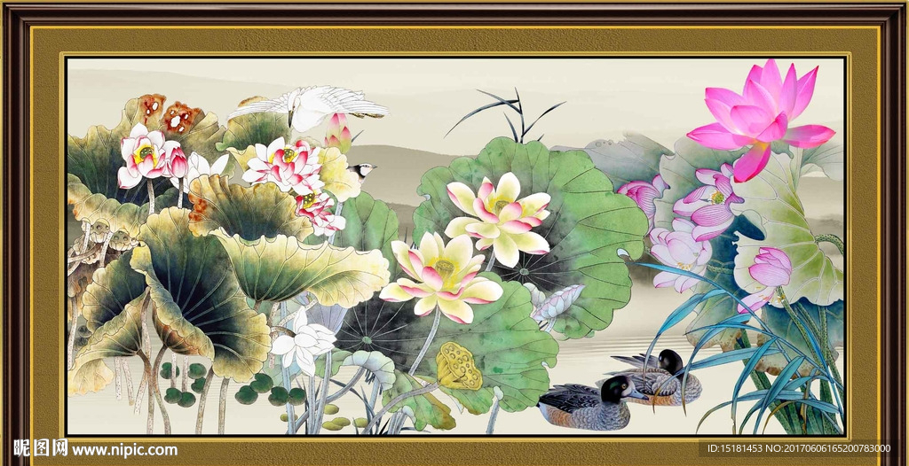 荷花图